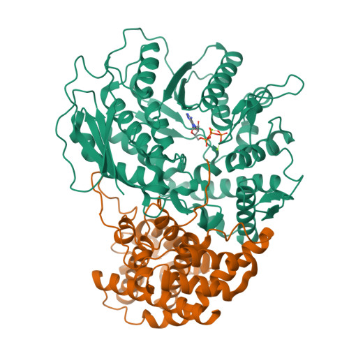 Structure 9X6C