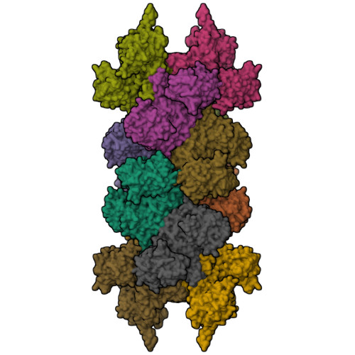 Structure 9X6G
