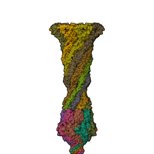 Structure 9X6P