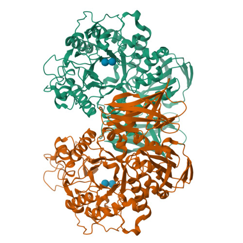 Structure 9X6V