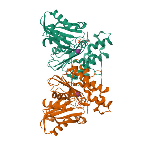 Structure 9X77