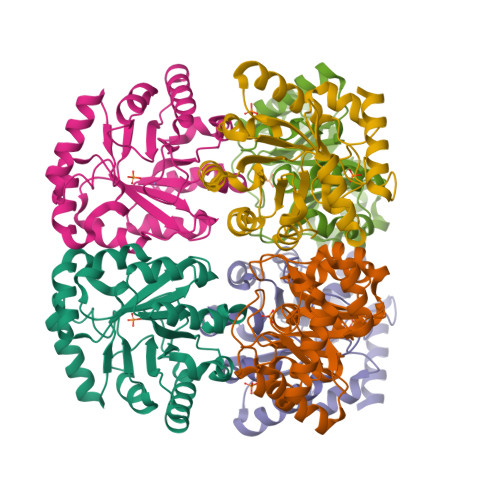 Structure 9X7A