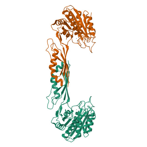 Structure 9X8G