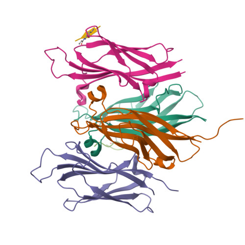 Structure 9X8T