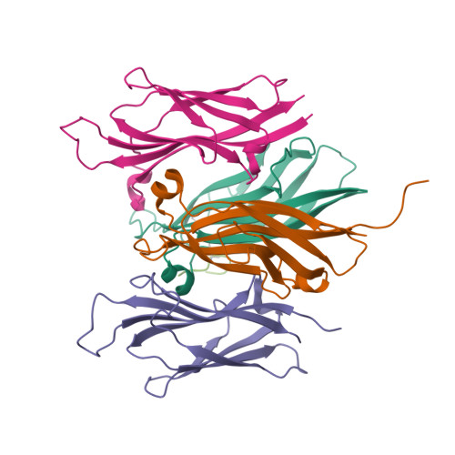 Structure 9X8V