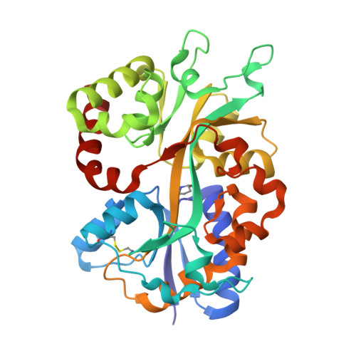 Structure 9X96