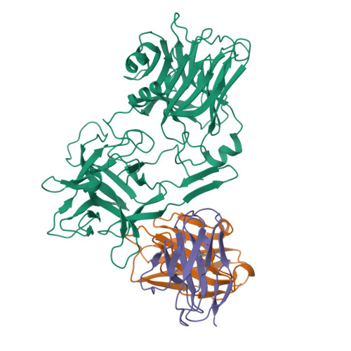 Structure 9XBG