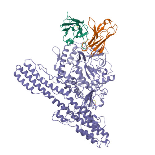 Structure 9XBI