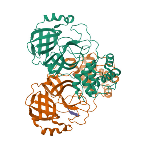 Structure 9XBQ