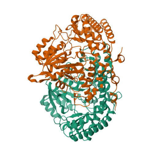 Structure 9XBR