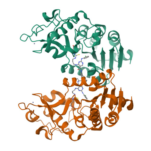 Structure 9XBT