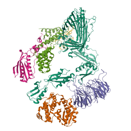 Structure 9XBY