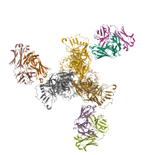 Structure 9XC1