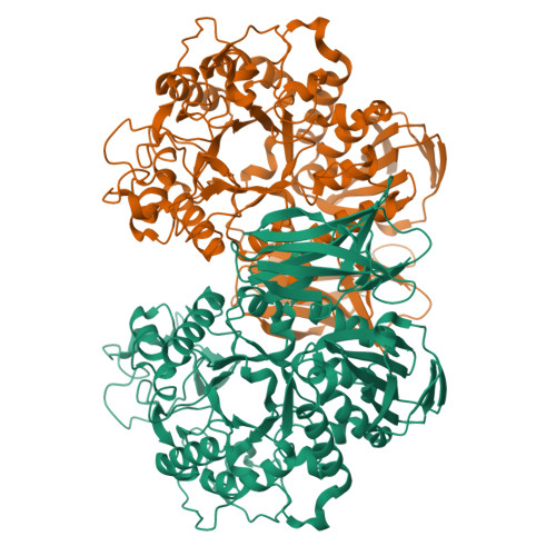 Structure 9XC9