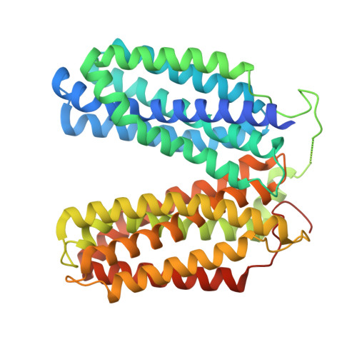 RCSB PDB - 9XCB: cryoEM structure of G6PT monomer