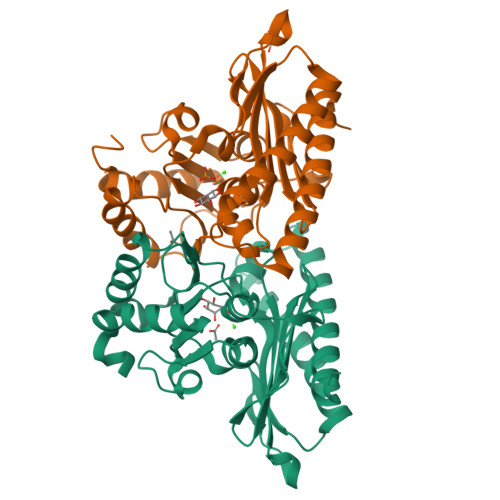 Structure 9XCK