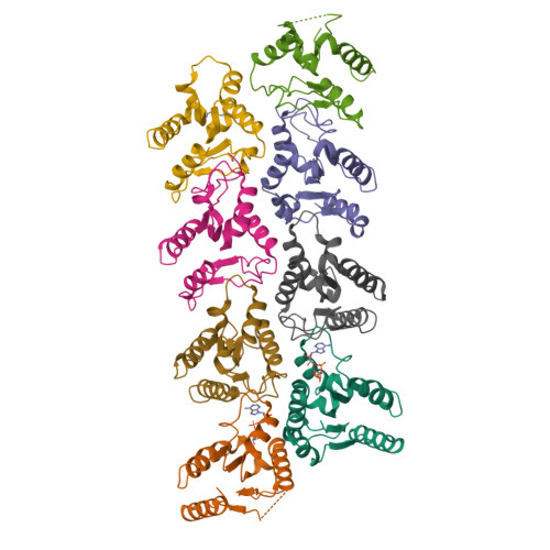 Structure 9XCN