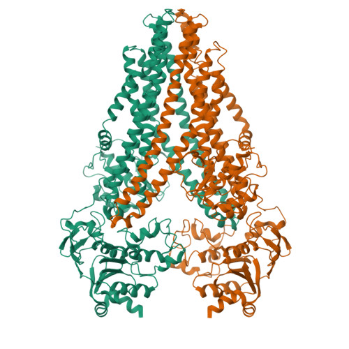 Structure 9XCO