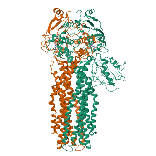 Structure 9XCR
