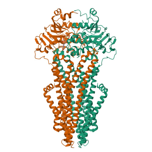 Structure 9XCS