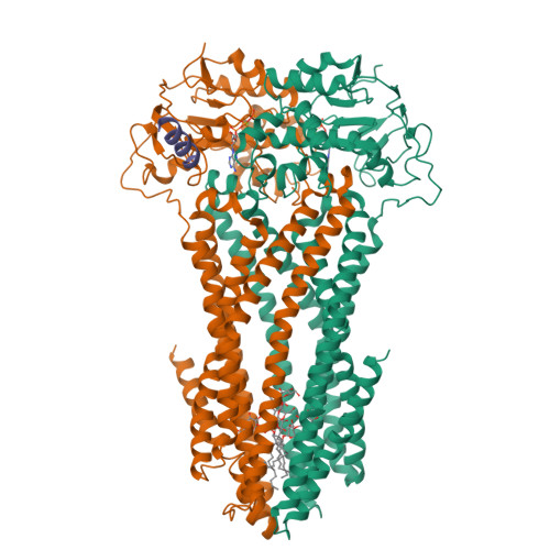 Structure 9XCV