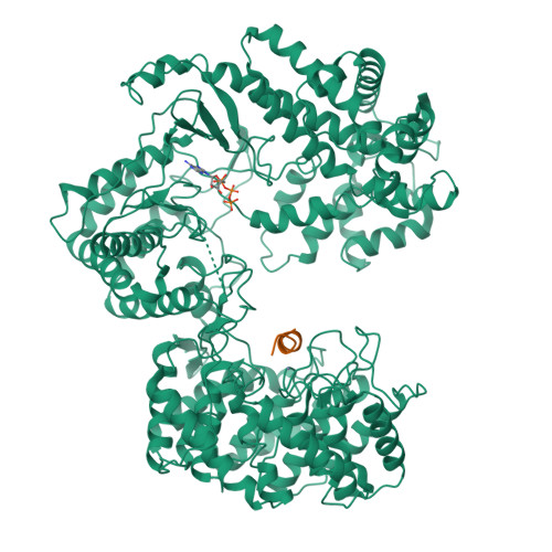 Structure 9XCW