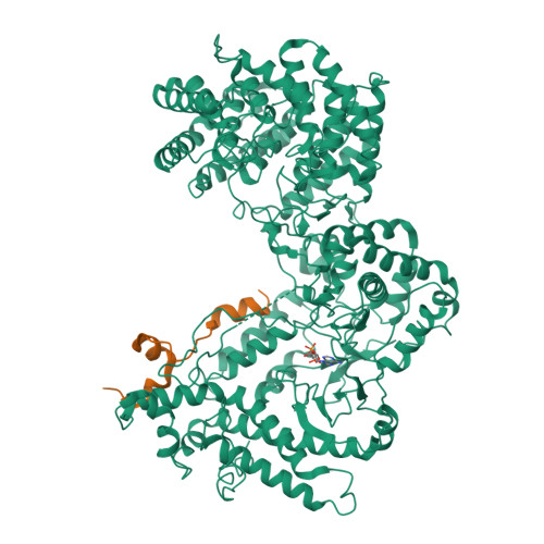 Structure 9XCX