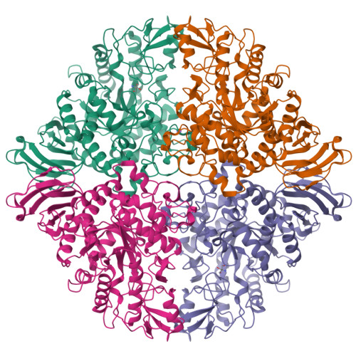 Structure 9XDE