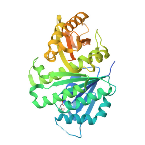 Structure 9XDH