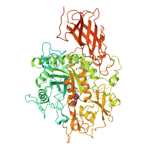 Structure 9XDX