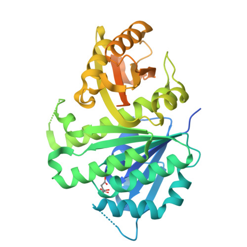 Structure 9XE2