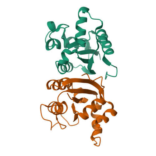 Structure 9XEJ