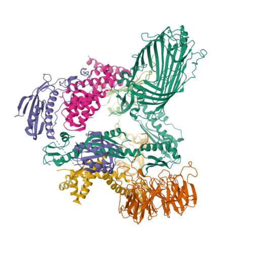 Structure 9XFG