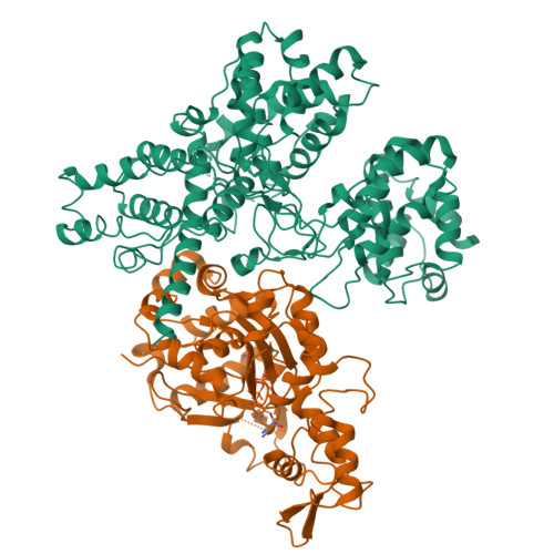 Structure 9XFH