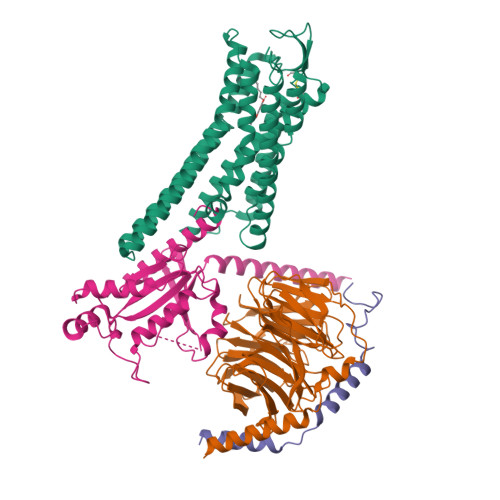 Structure 9XFI