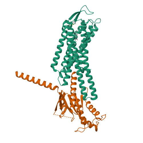 Structure 9XFJ
