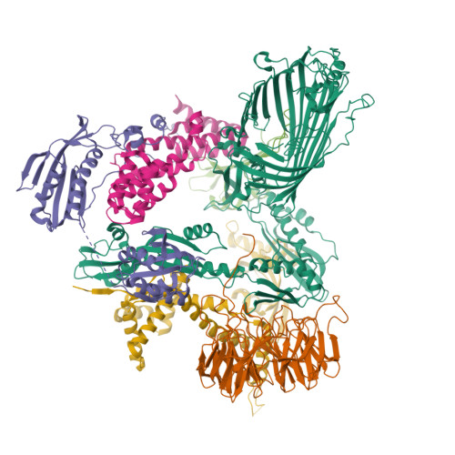 Structure 9XFO