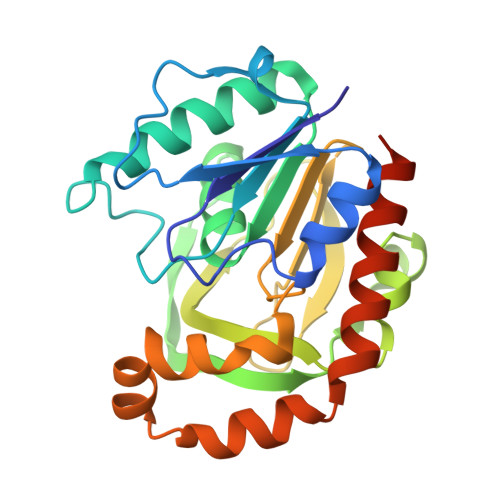 Structure 9XFS