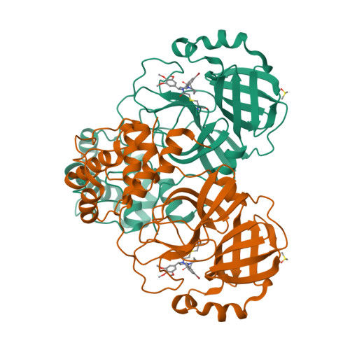Structure 9XHC