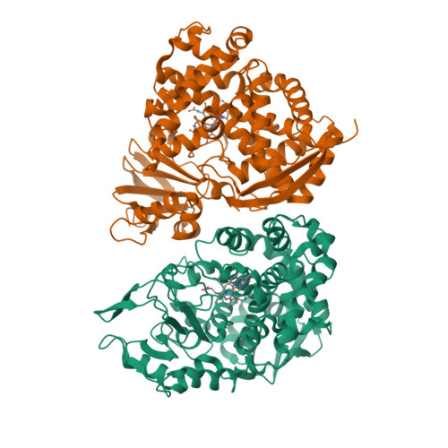 Structure 9XHO