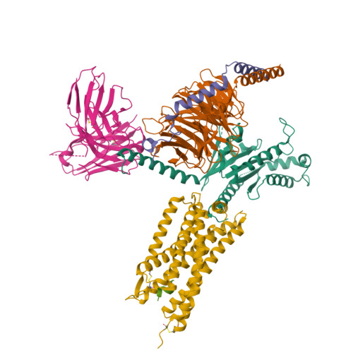 Structure 9XIX