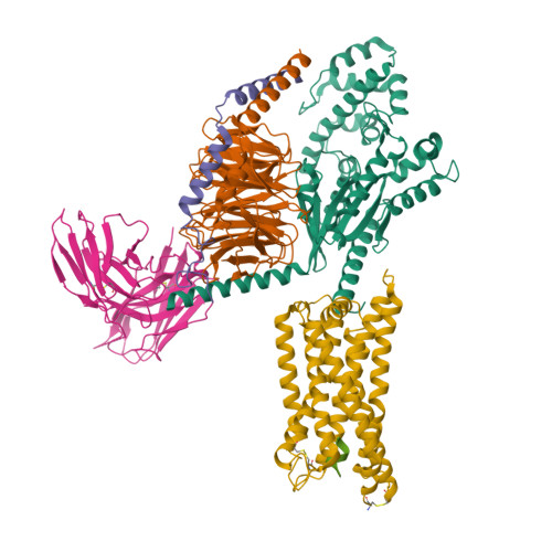 Structure 9XJ7