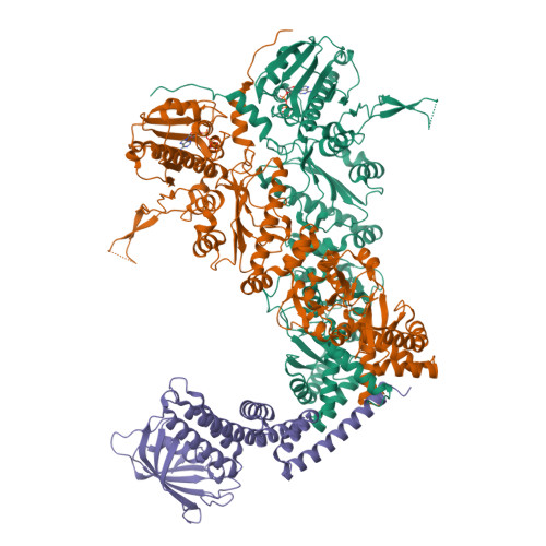 Structure 9XJ8