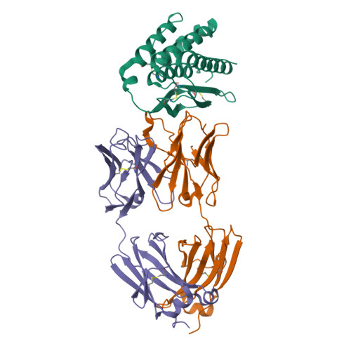 Structure 9XJK