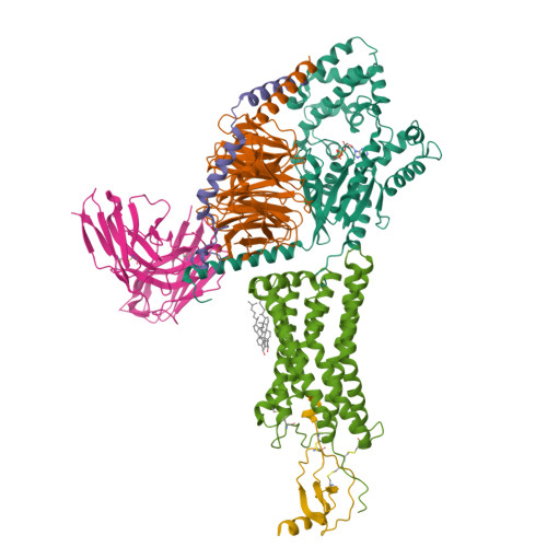 Structure 9XJP