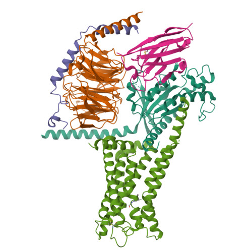 RCSB PDB - 9XJW: Cryo-EM structure of GPR119 in complex with partial ...