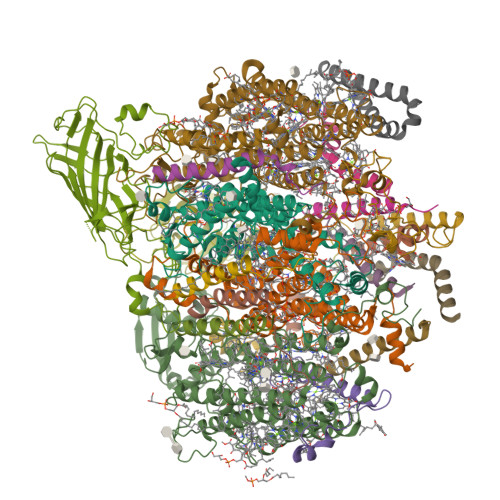 Structure 9XK4