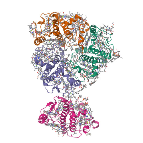 Structure 9XK6