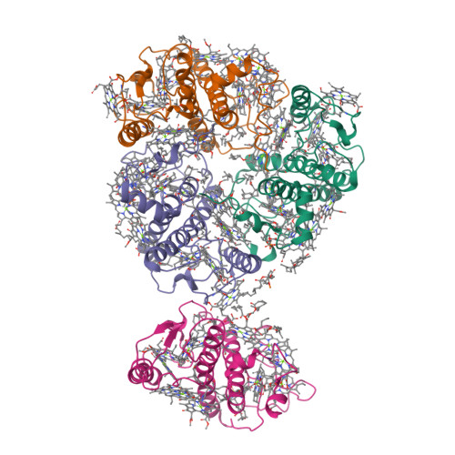 Structure 9XK7