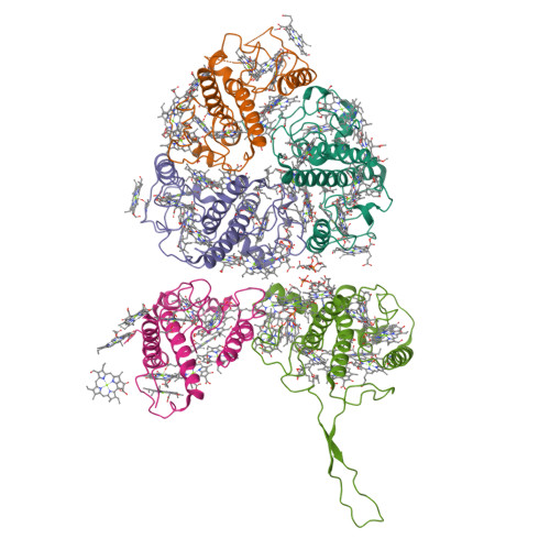 Structure 9XK8